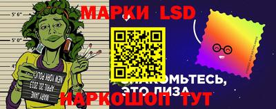 a pvp Новодвинск
