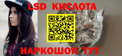 СК Новозыбков