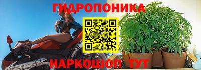 прущие крисы Новокубанск