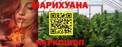 СК Новозыбков