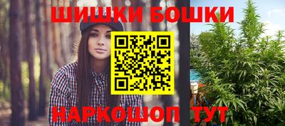 a pvp Новодвинск