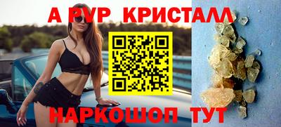 СК Новозыбков