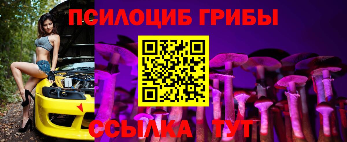 Псилоцибиновые грибы мухоморы  Вход с VPN  купить  цена  Таганрог  Галлюциногенные грибы Psilocybe 